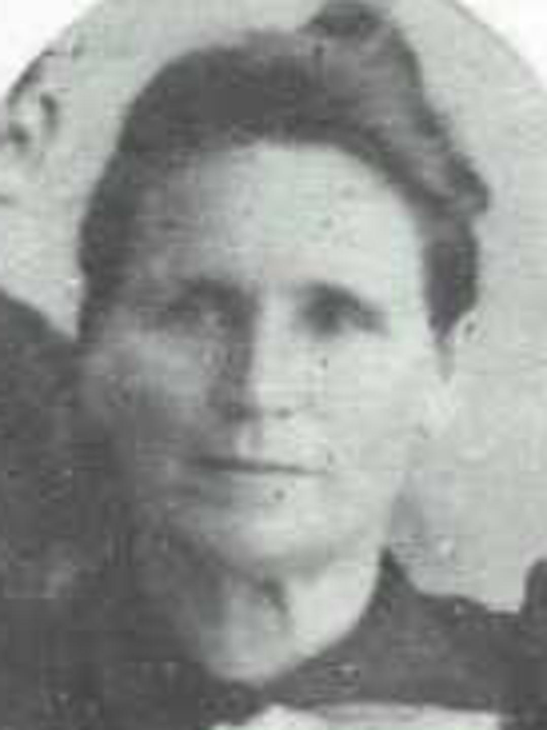 Altheda Lavern Ennes (1860 - 1920) Profile